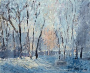 Snow in the Garden, 1993